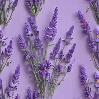 aesthetic lavender wallpaper
