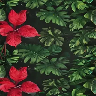 zoom background plants