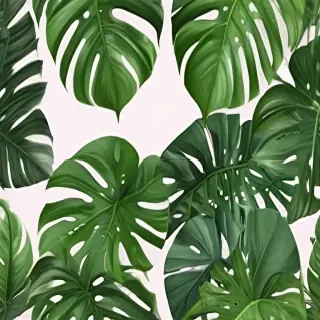 monstera png