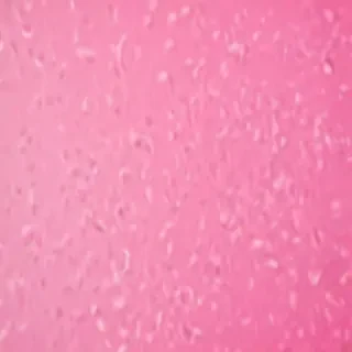 pink zoom backgrounds
