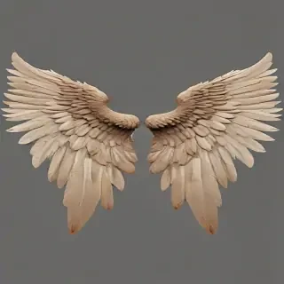 wings transparent background