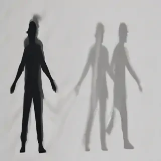 shadow transparent