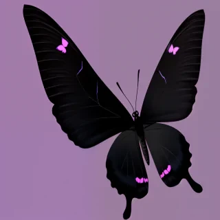 black butterfly png