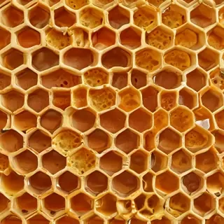 honeycomb png