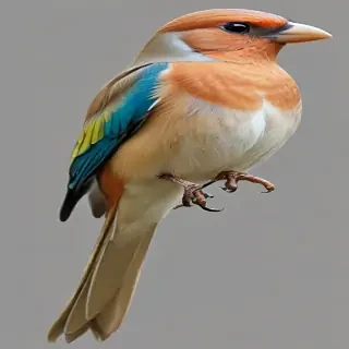 bird transparent