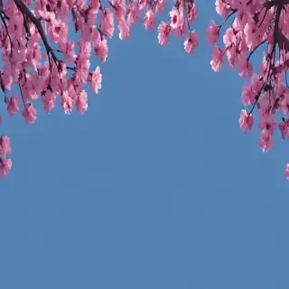 blue bg aesthetic
