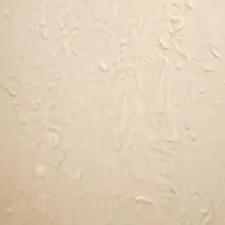backgrounds cream