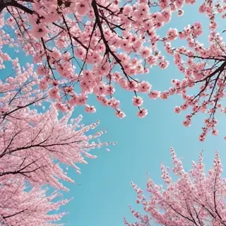 spring aesthetic wallpaper