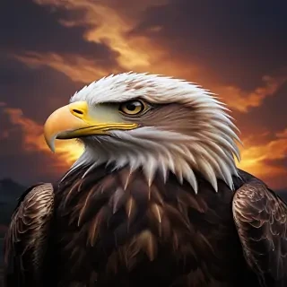 cool eagle wallpaper