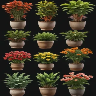 potted plants png