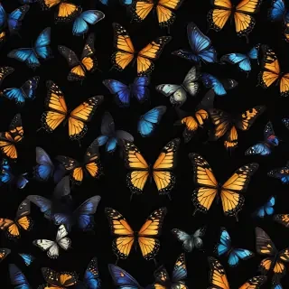 butterflies in black background