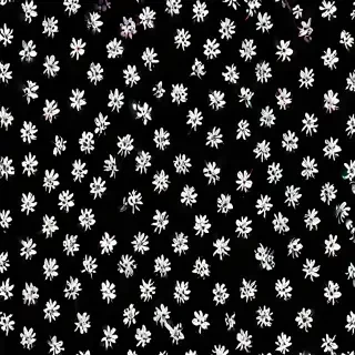 black background wallpaper aesthetic