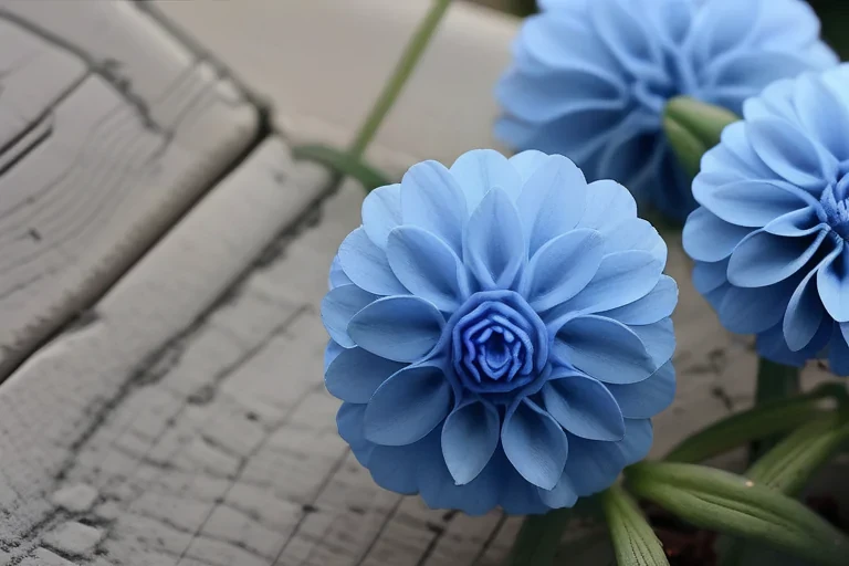 blue flowers