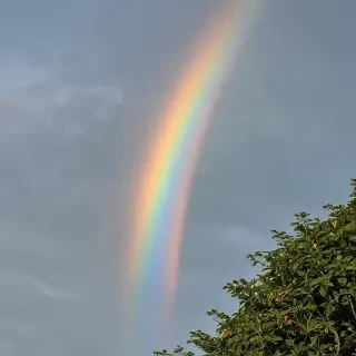transparent rainbow