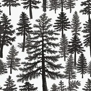 pine tree clip art black and white