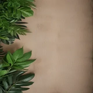 zoom background plants