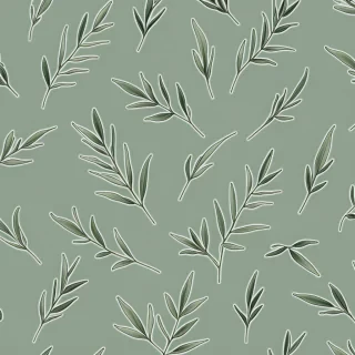aesthetic sage green wallpaper