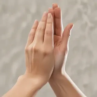 praying hands png transparent