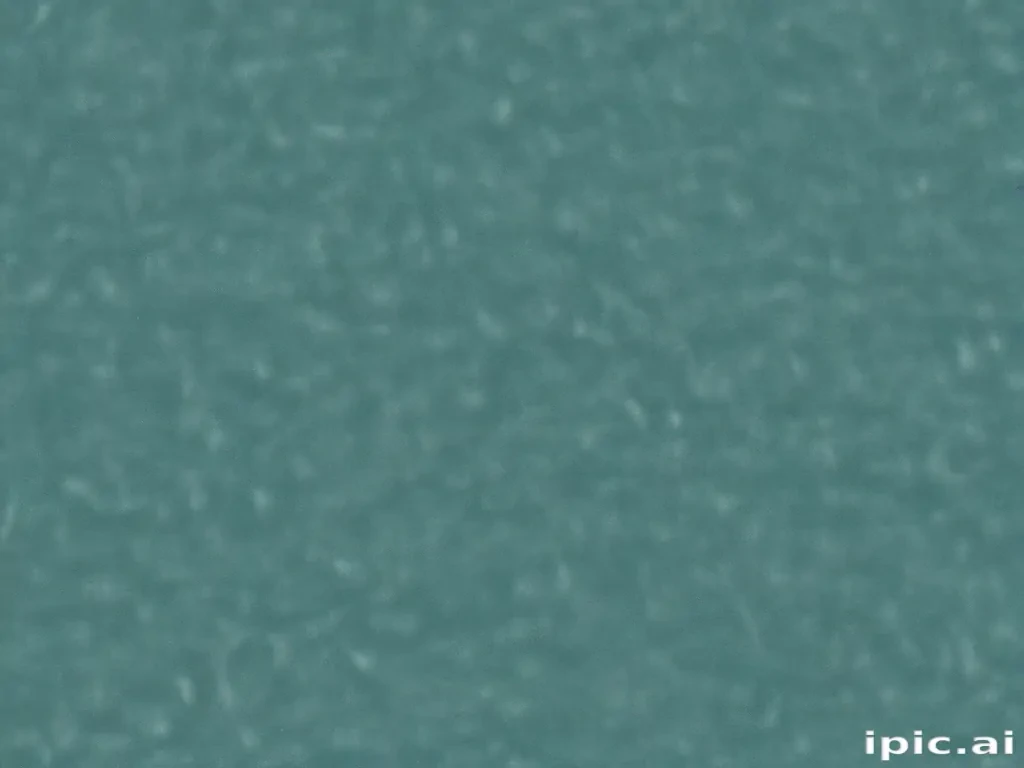 plain teal background