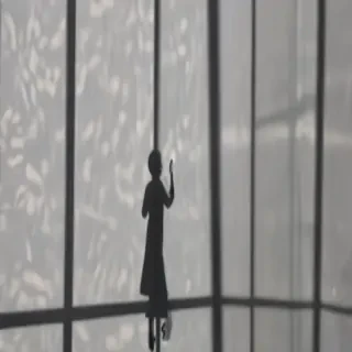 window shadow