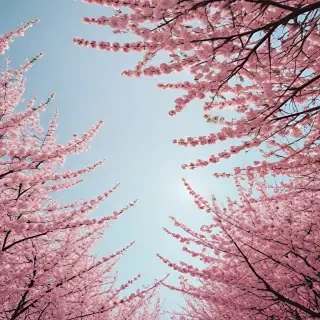 aesthetic spring wallpaper