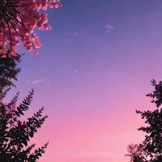 aesthetic backgrounds iphone