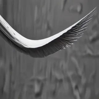 swoosh