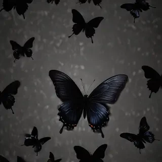 black butterfly wallpaper
