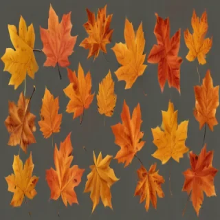 fall leaves png transparent