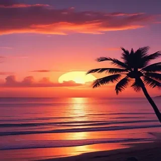 aesthetic sunset wallpapers