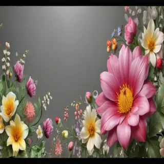flower transparent border
