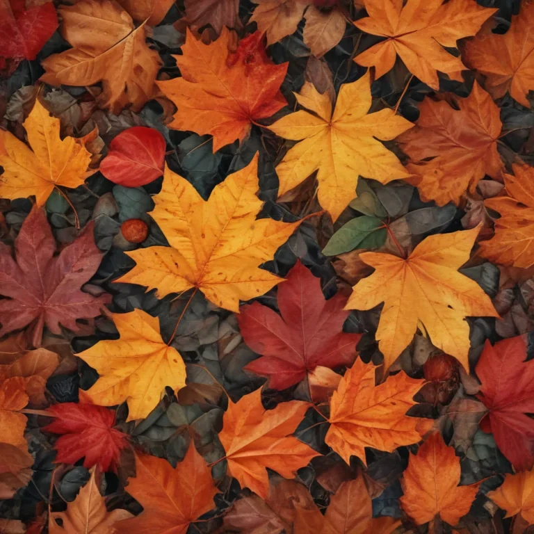 autumn leaves iphone wallpaper