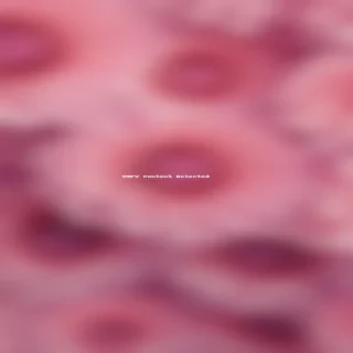 flower computer wallpaper