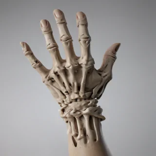 skeleton hands png