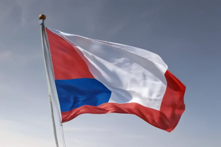 french flag png