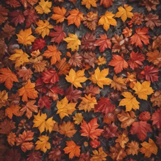 cute fall iphone wallpaper