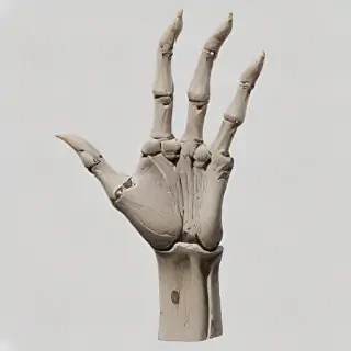 skeleton hand png