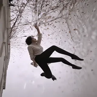 aesthetic falling