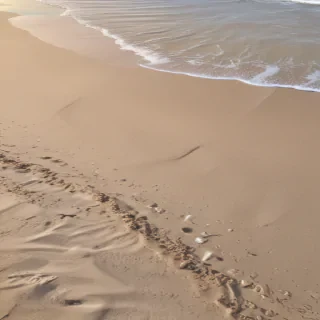 beach transparent