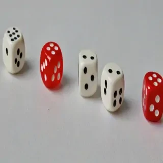roll dice