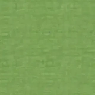 green background plain