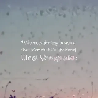cute quote wallpaper