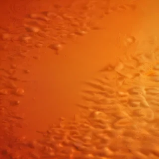plain orange background