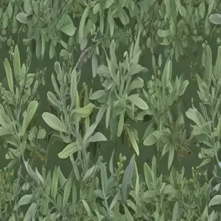 aesthetic sage green