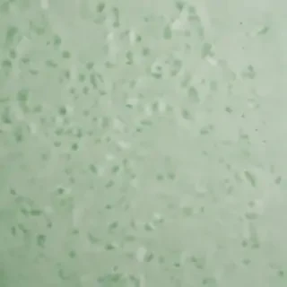 green on white background