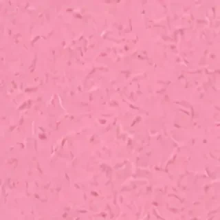 pink zoom backgrounds
