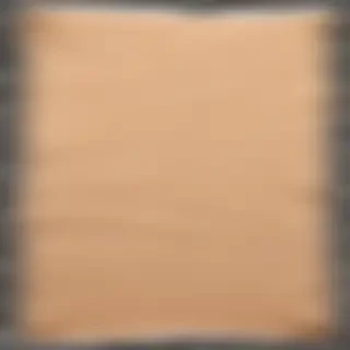 paper torn png