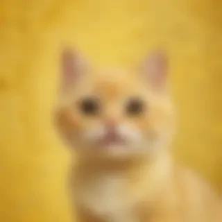 yellow cute backgrounds