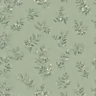 sage green bg