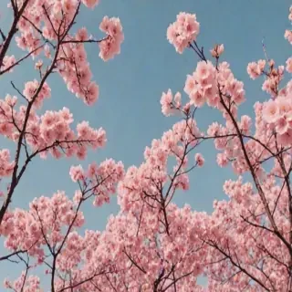 wallpaper aesthetic iphone